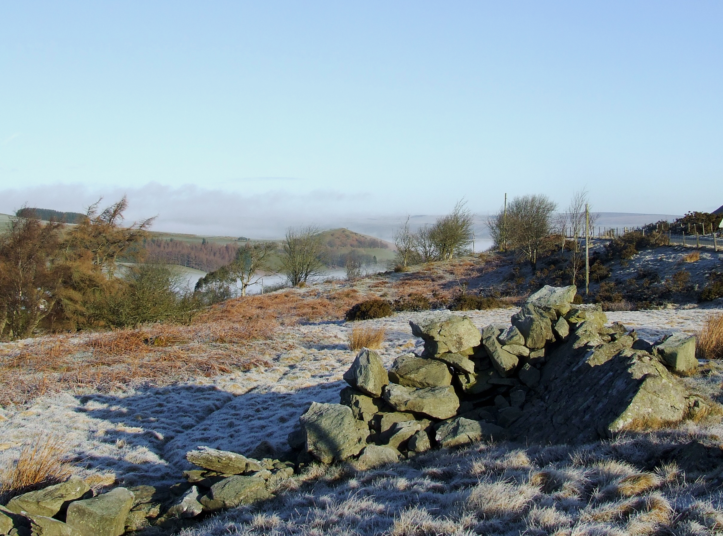 FROSTY MORNING at CLYWEDOG Bill Bagley Photography